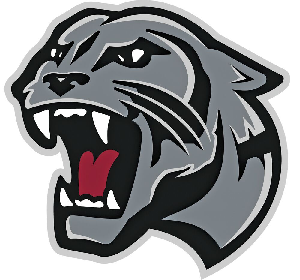 Benton Panther